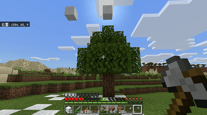 成長した樫の木