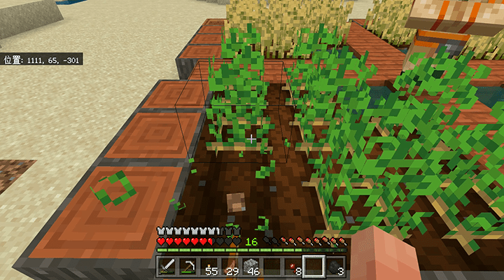 ジャガイモを収穫